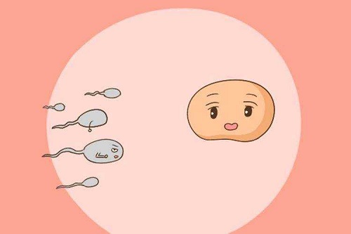 第三代试管婴儿优点有几个？