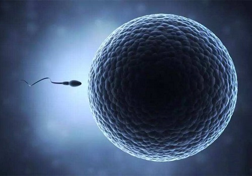 第三代试管婴儿一般几次成功？成功率怎么样？