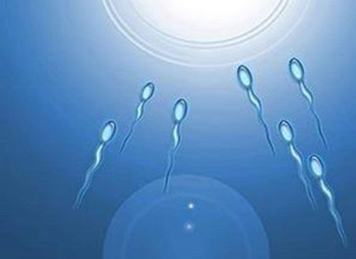 第三代试管婴儿费用要多少