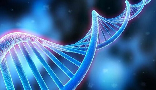 第三代试管婴儿一般几次成功？可以做几次？