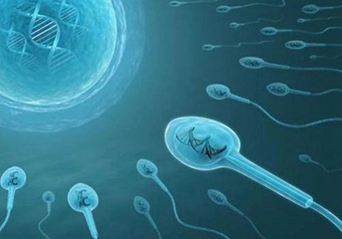 第三代试管一般几次成功？试管婴儿最多可以做几次？