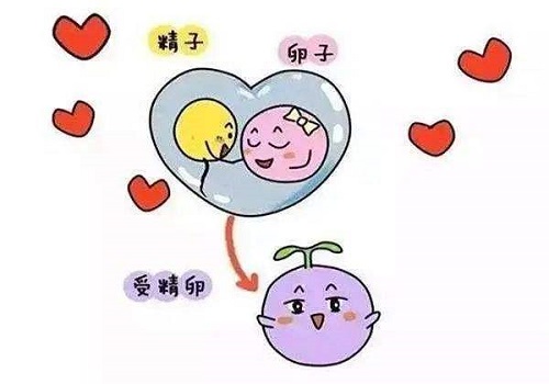 第三代试管婴儿技术能够解决高龄女性烦恼吗？