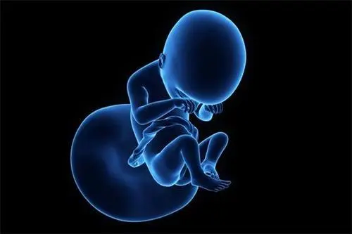 泰国试管成功率和囊胚的好坏有什么关系？