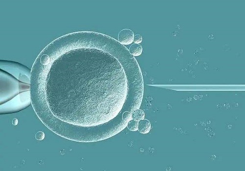泰国试管技术中的囊胚培养和囊胚移植