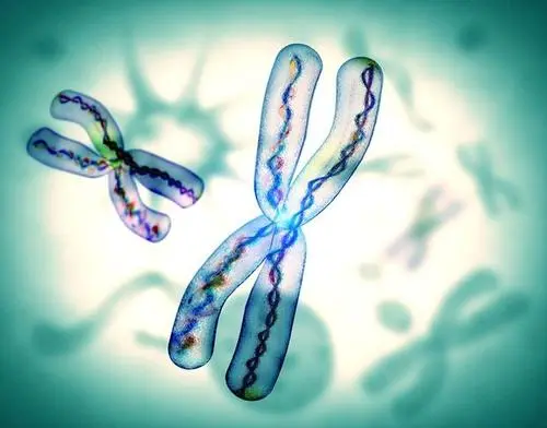 重度宫腔粘连分离术后做俄罗斯试管成功率怎样
