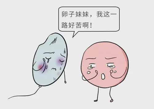 高龄一定要做三代试管吗？为什么？