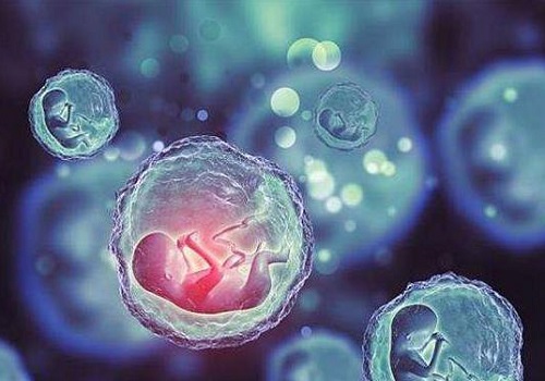 第三代试管婴儿技术可以解决胚胎质量差问题吗？