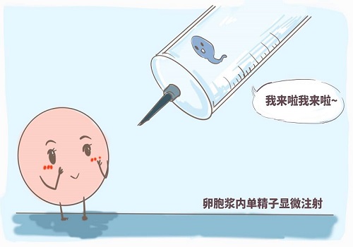 解读试管婴儿囊胚PGS通过率和年龄的关系