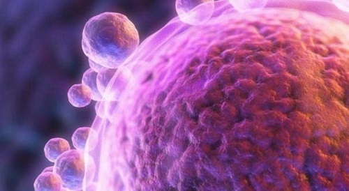 泰国试管婴儿一次成功还需要这5点配合