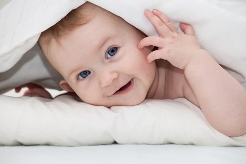 解析试管婴儿中的优势卵泡