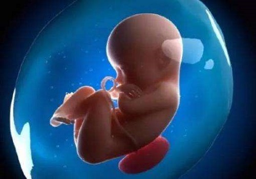 第三代试管为什么只能移植一个？难道不是胚胎越多越好吗？