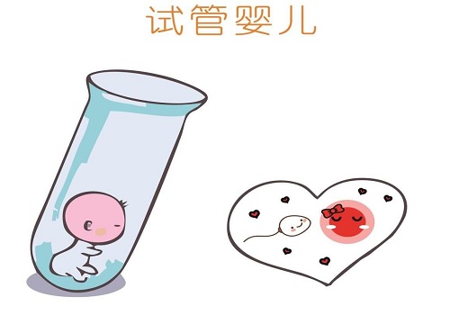 2020泰国试管婴儿费用一般是多少？