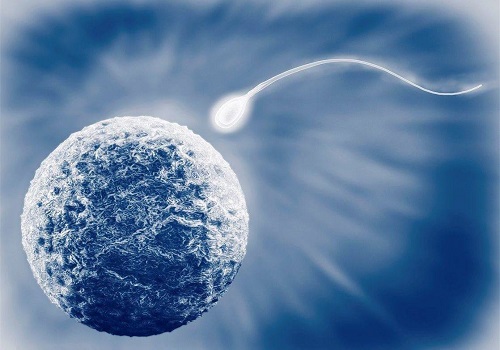 精子碎片率高是什么原因？能做三代试管婴儿吗？