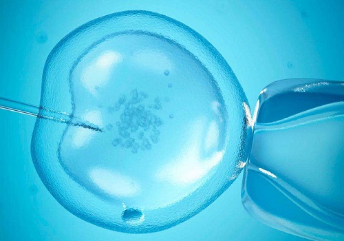 精子存在畸形怎么去做试管婴儿