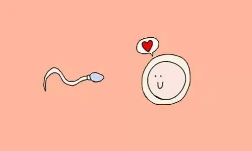 第三代试管婴儿成功率有多大？这4大细节决定着成功率！