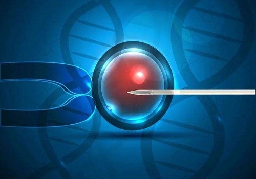 第三代试管成功率排行，和所取的卵子数量有关吗？