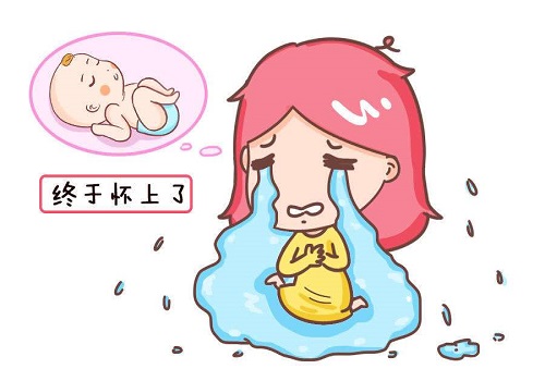 第三代试管婴儿手术费用是多少