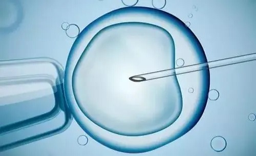 泰国试管技术中的囊胚培养和囊胚移植