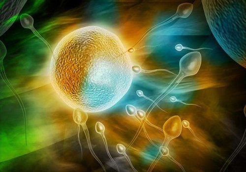 2021泰国试管成功率医院排名上有Nic吗？