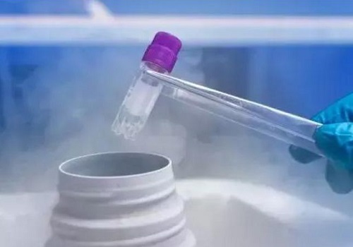 第三代试管婴儿胚胎检查结果有哪些？什么是囊胚？