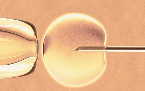 胚胎质量差问题影响试管成功率吗